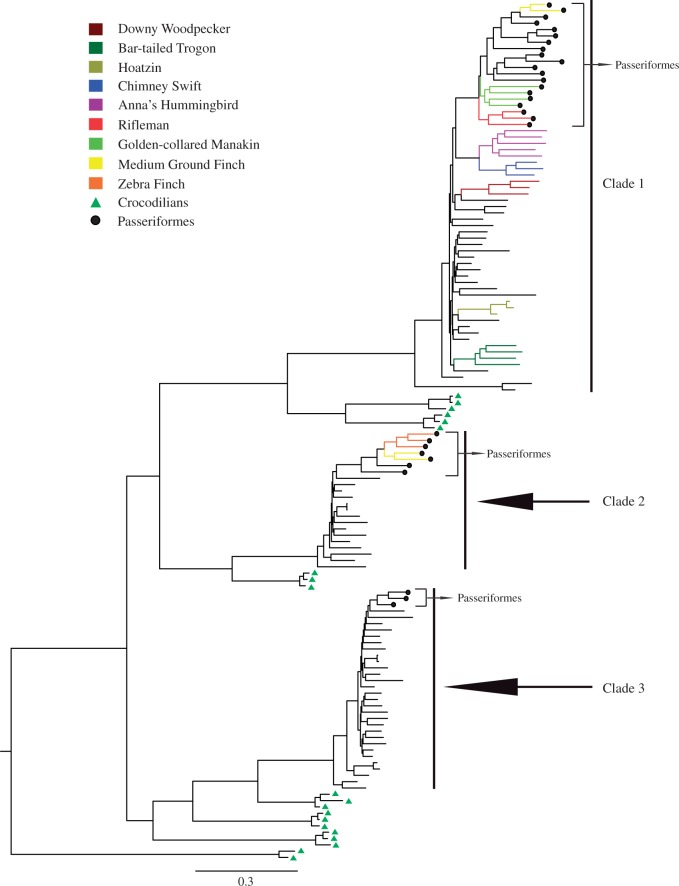 Fig. 2.—