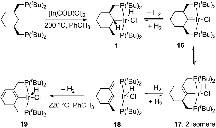 Scheme 3