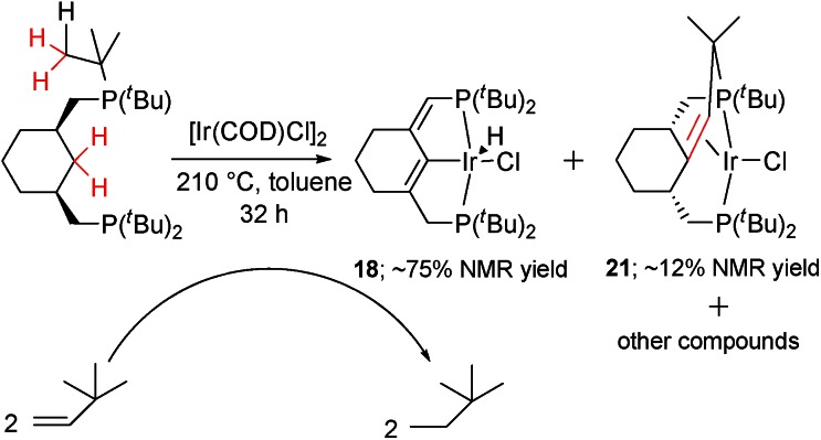 Scheme 5