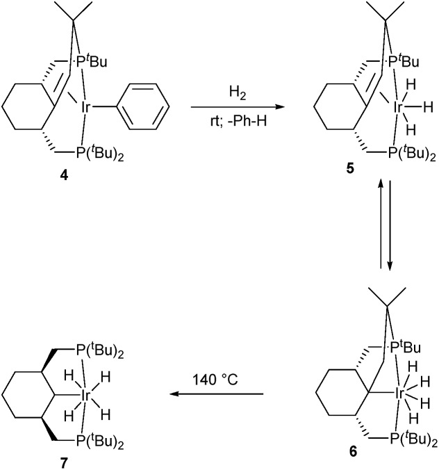 Scheme 2