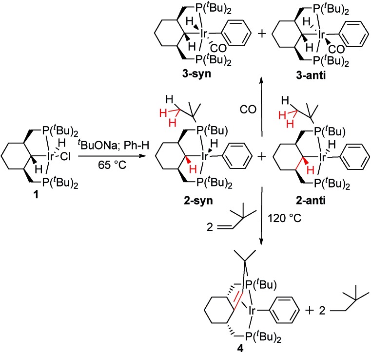 Scheme 1