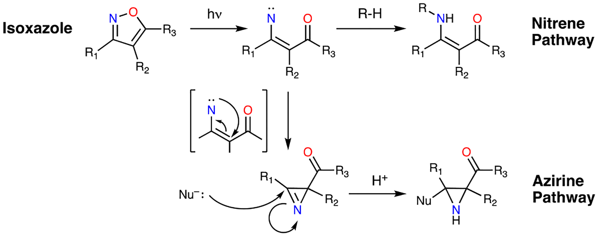 Scheme 1.