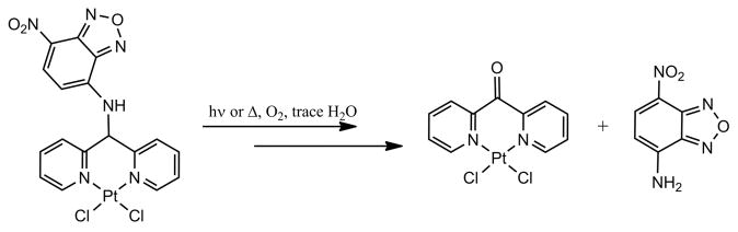 Scheme 5