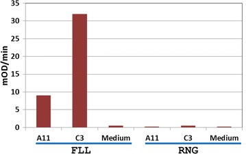 Fig. 4