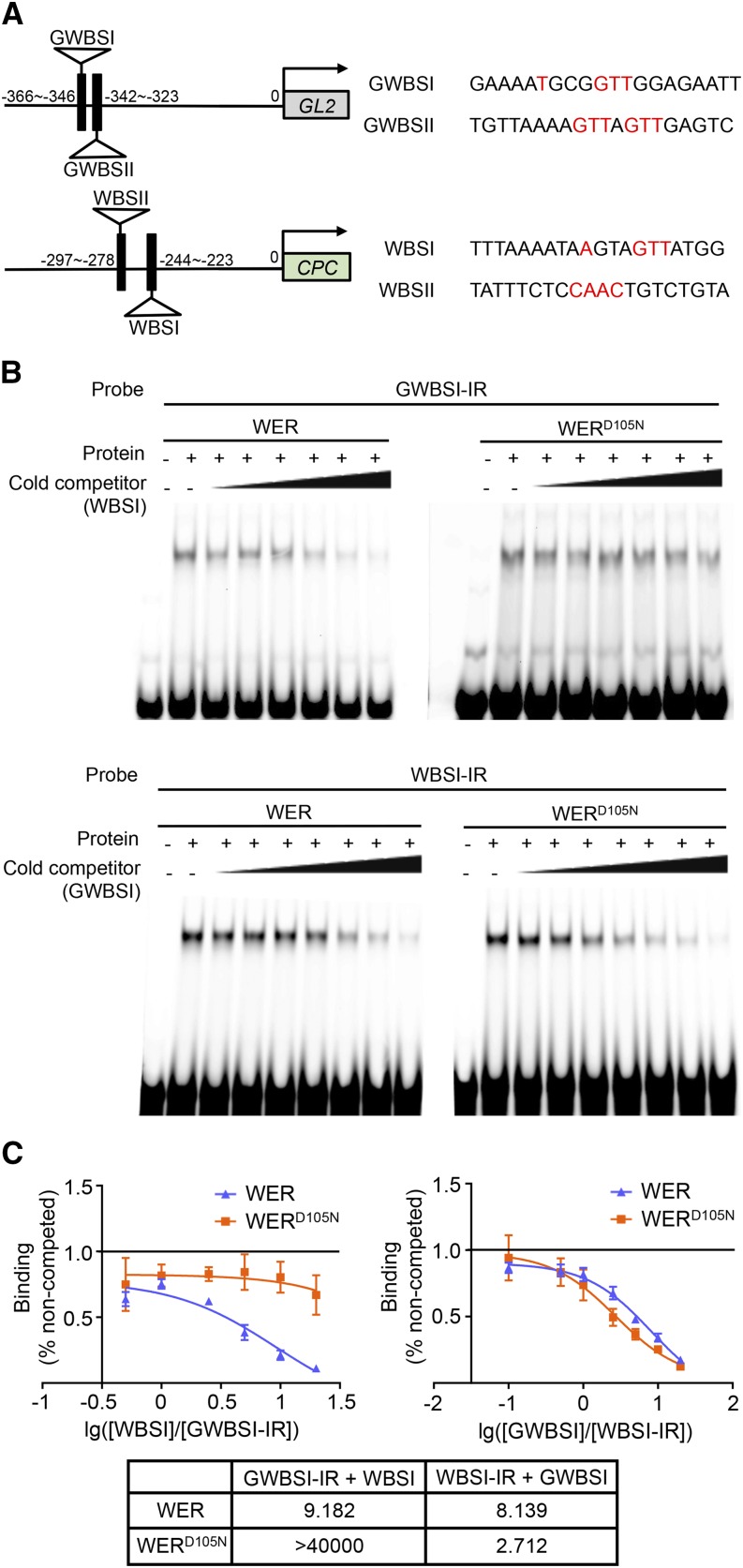 Figure 5.