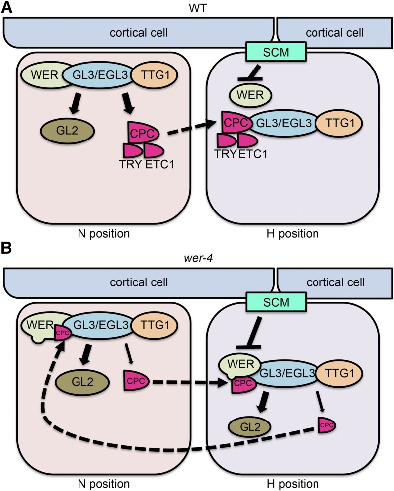 Figure 11.