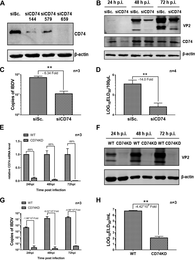 FIG 2