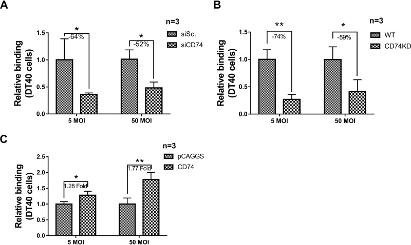 FIG 6