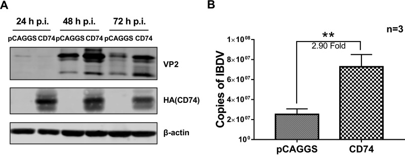 FIG 3