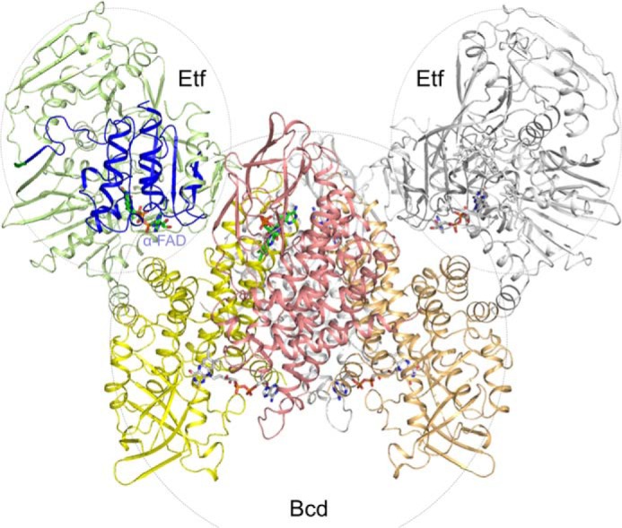 FIGURE 5.