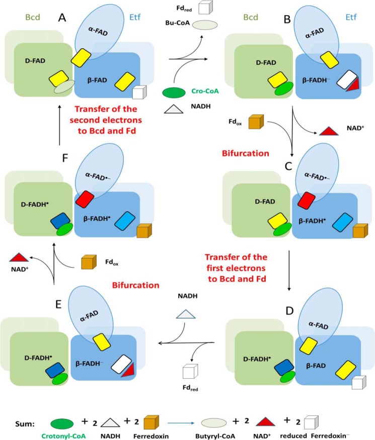 FIGURE 10.