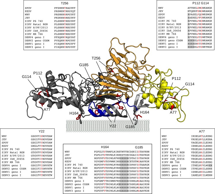 Fig 2