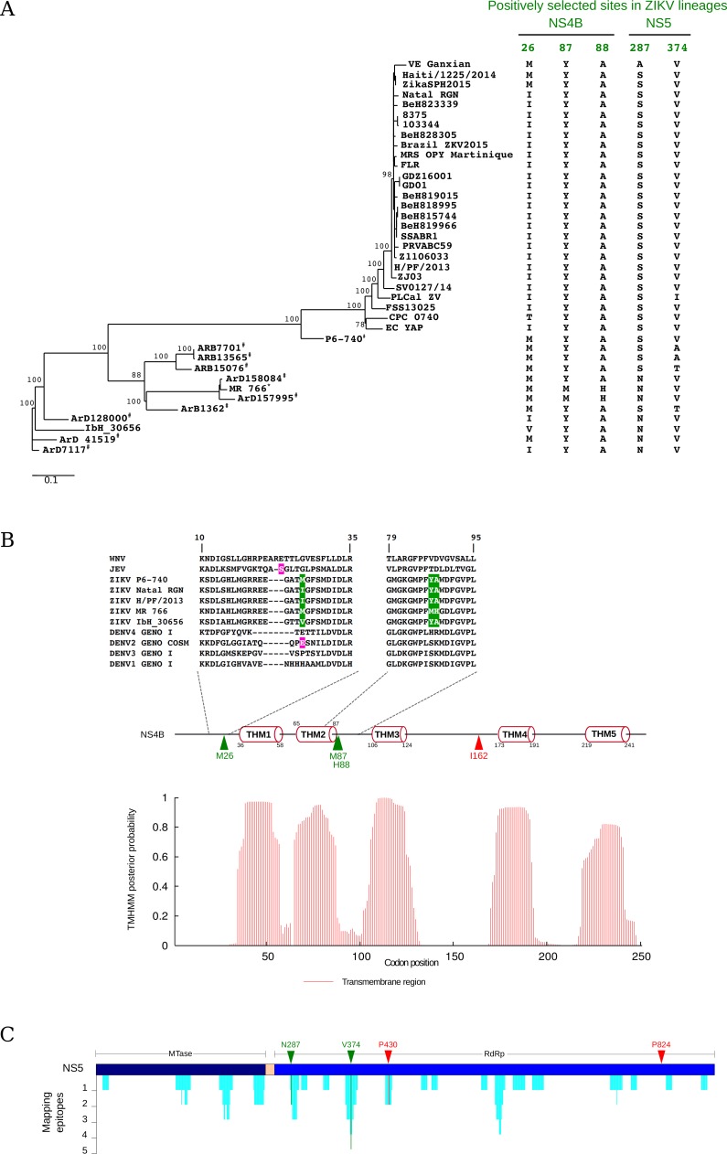 Fig 3