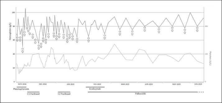 Fig. 2