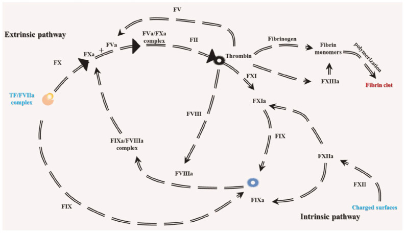 Figure 8.