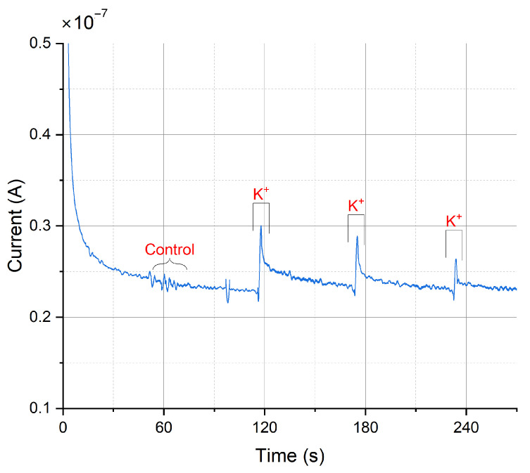 Figure 12