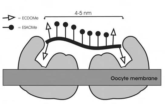 Figure 5: