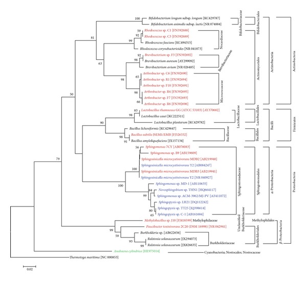 Figure 2