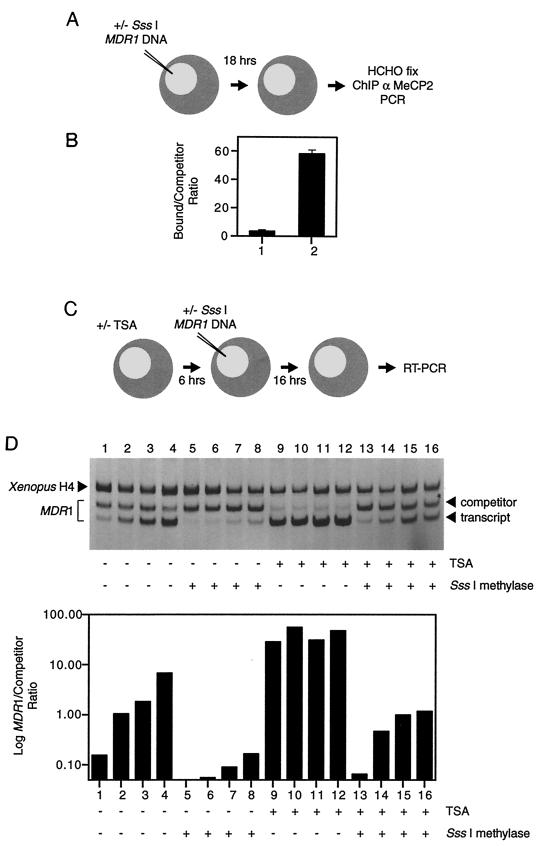 FIG. 7.