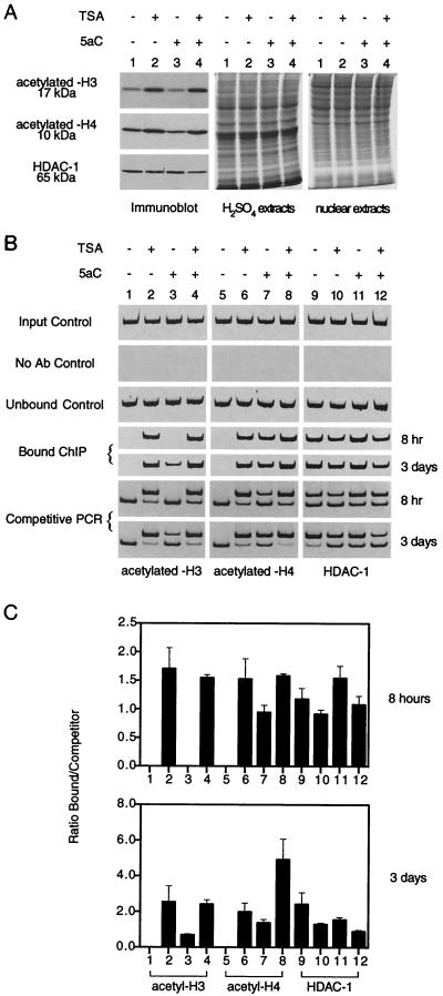 FIG. 6.