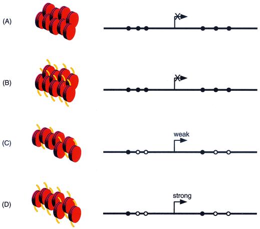 FIG. 8.