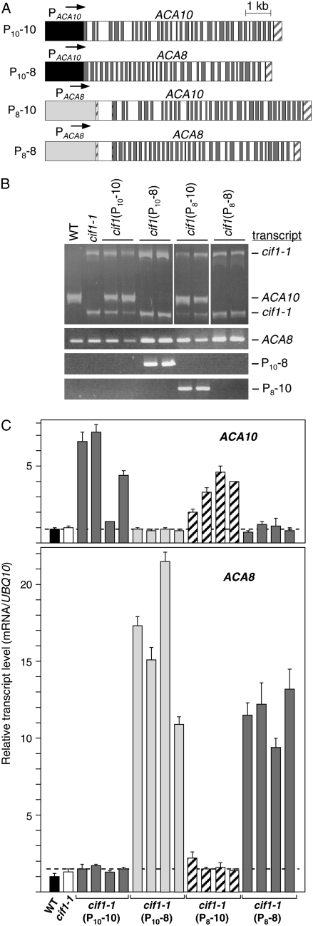 Figure 6.