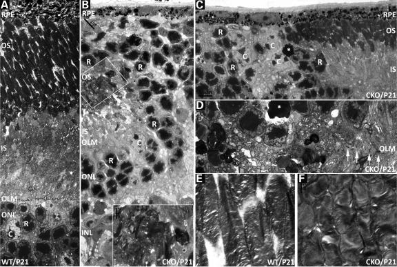 Figure 4.