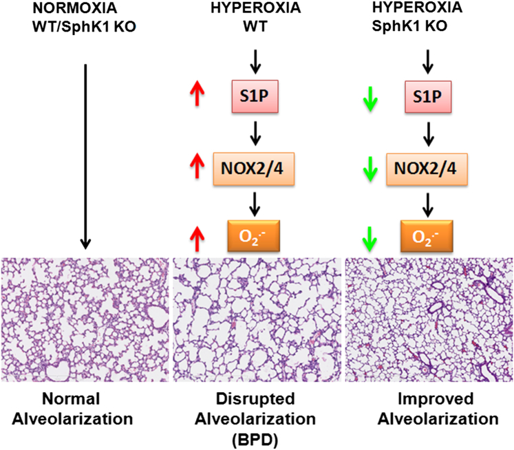 Figure 10