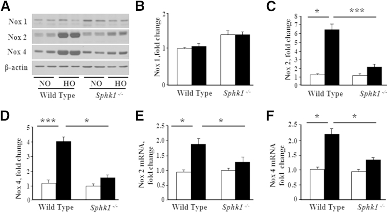 Figure 6