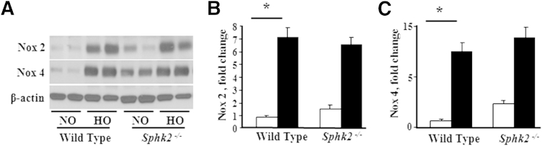 Figure 7