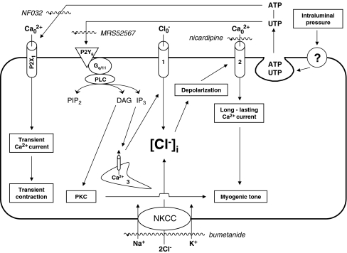 Fig. 7