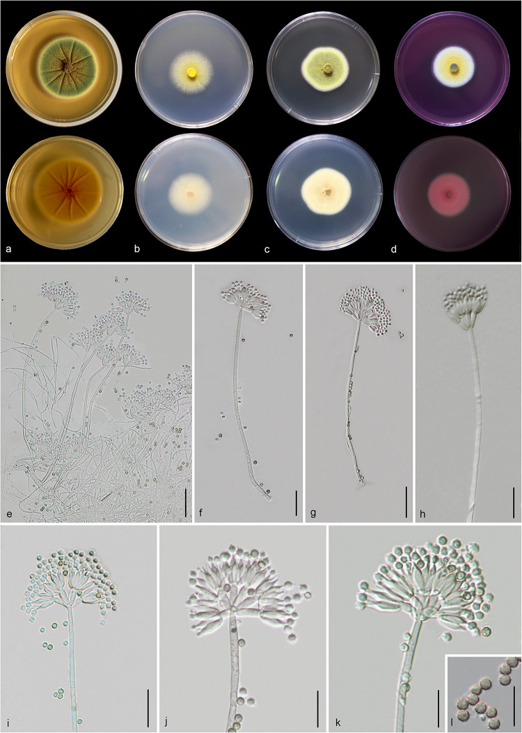 FIGURE 14