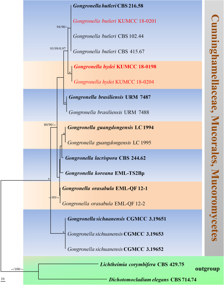 FIGURE 9