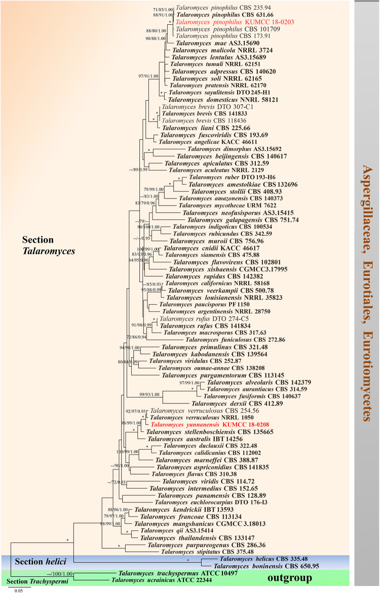 FIGURE 15