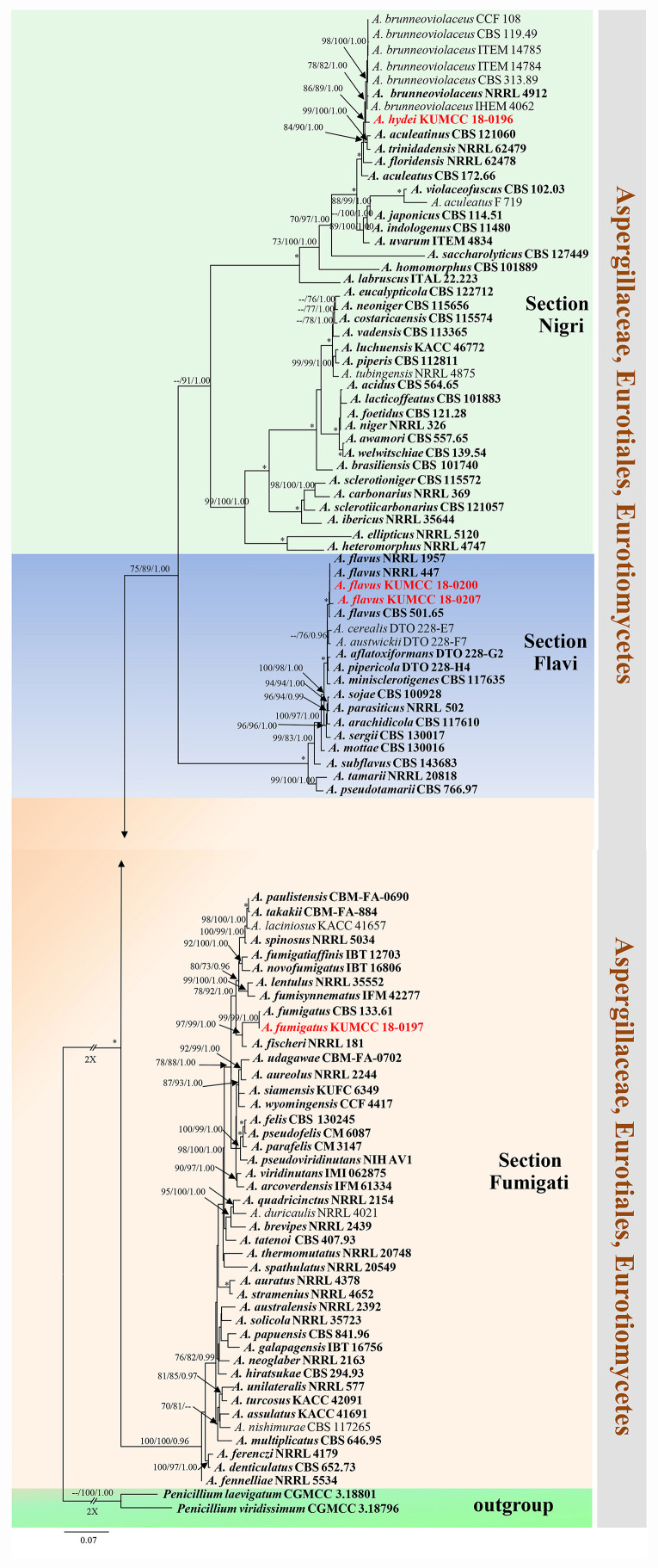 FIGURE 6