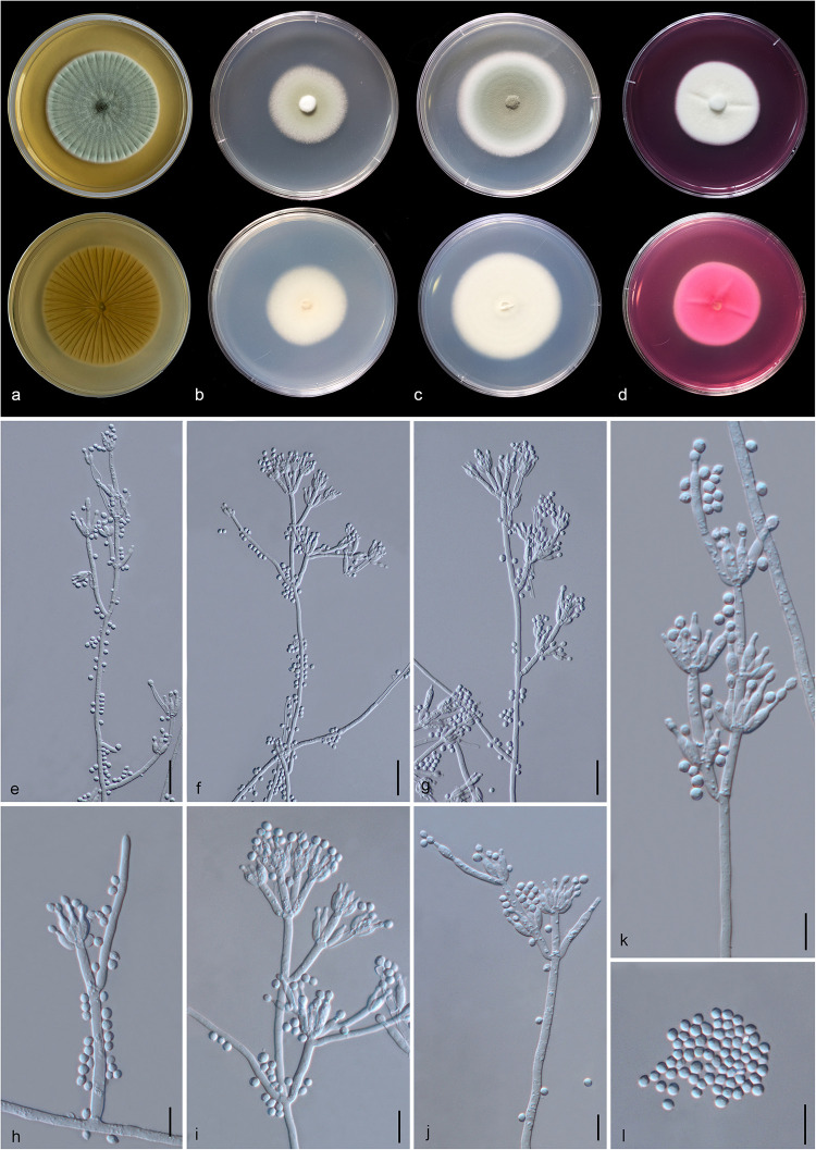 FIGURE 13