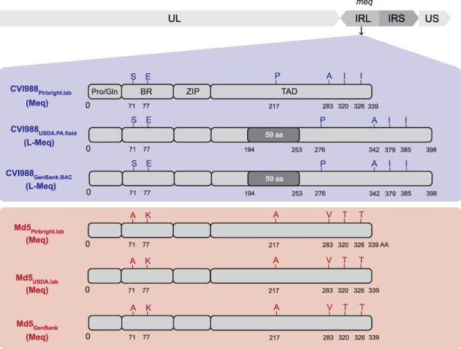 Figure 2.