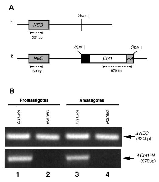 FIG. 5