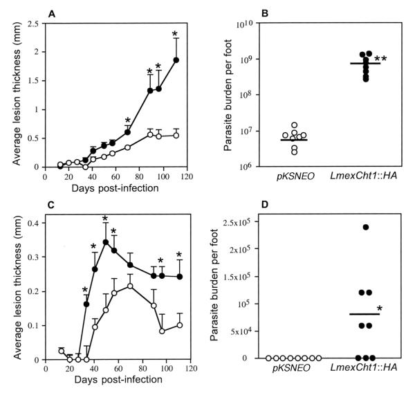 FIG. 8