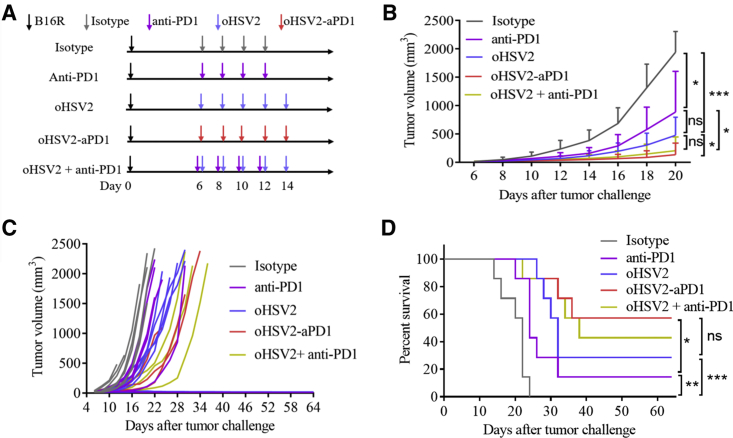 Figure 6