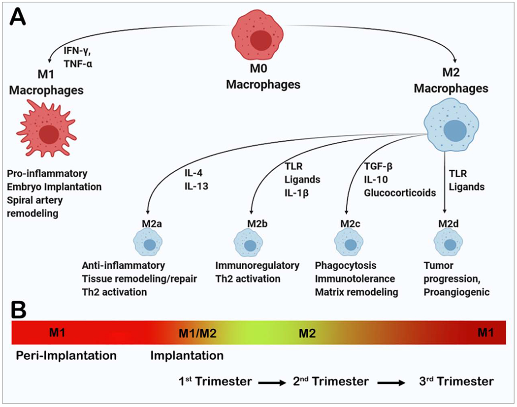 Figure 2: