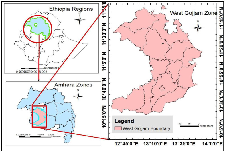 Figure 1.