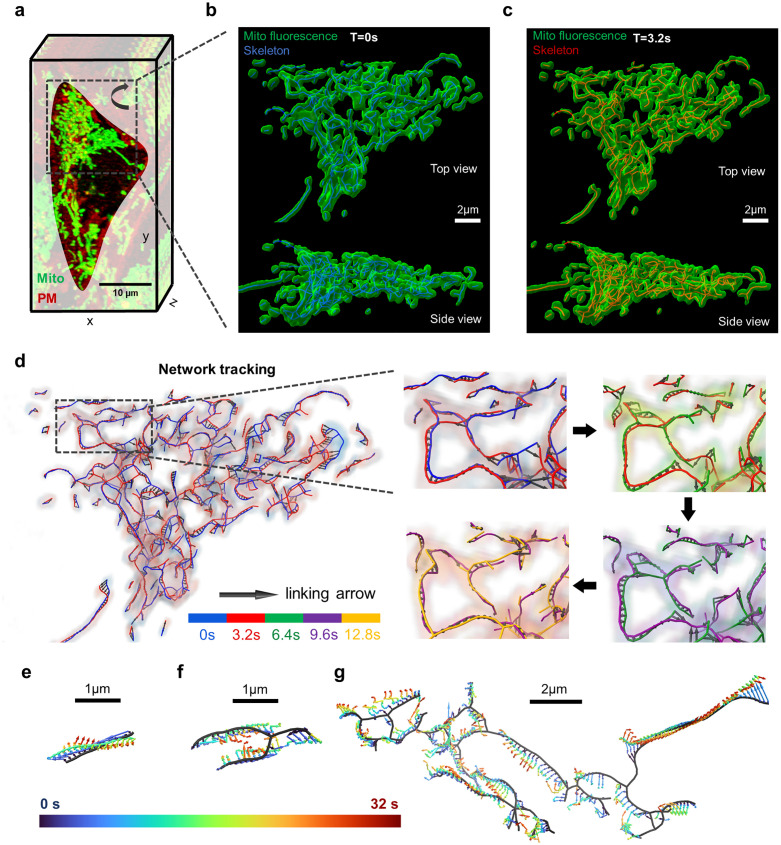 Fig 3