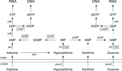 FIG. 6.