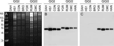 FIG. 5.