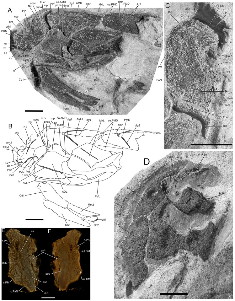 Fig 2