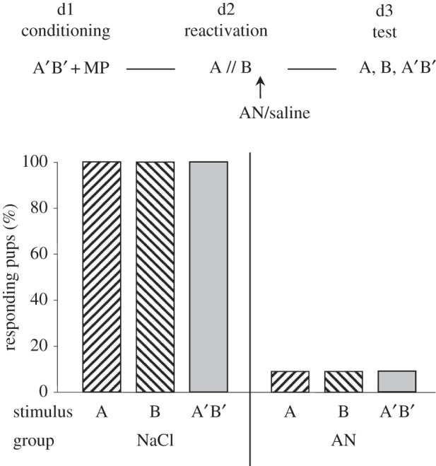 Figure 2.