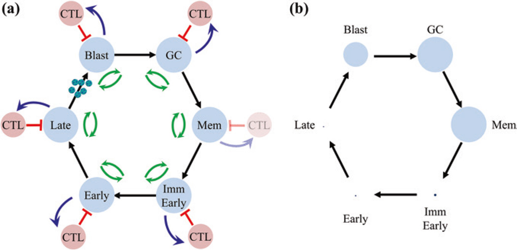 Fig. 9