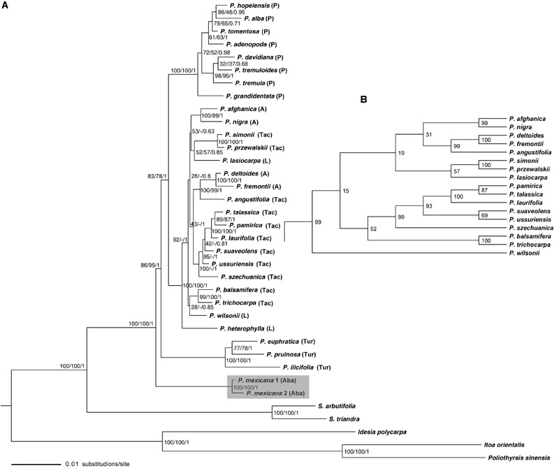 FIGURE 1