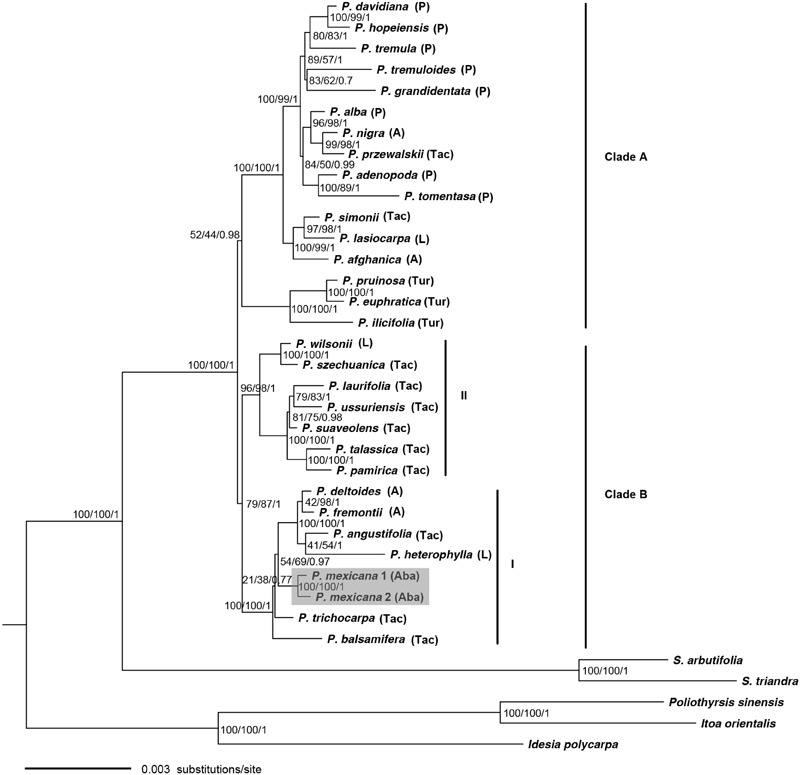 FIGURE 2